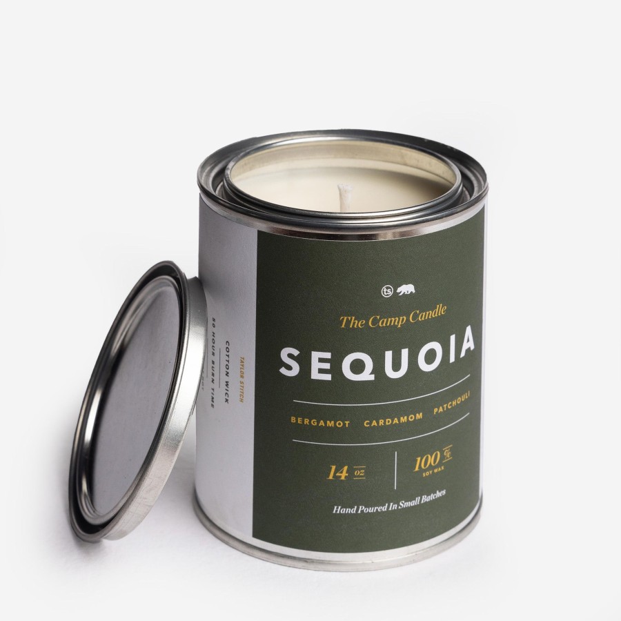 Boots & Accessories Taylor Stitch | The Camp Candle In Sequoia